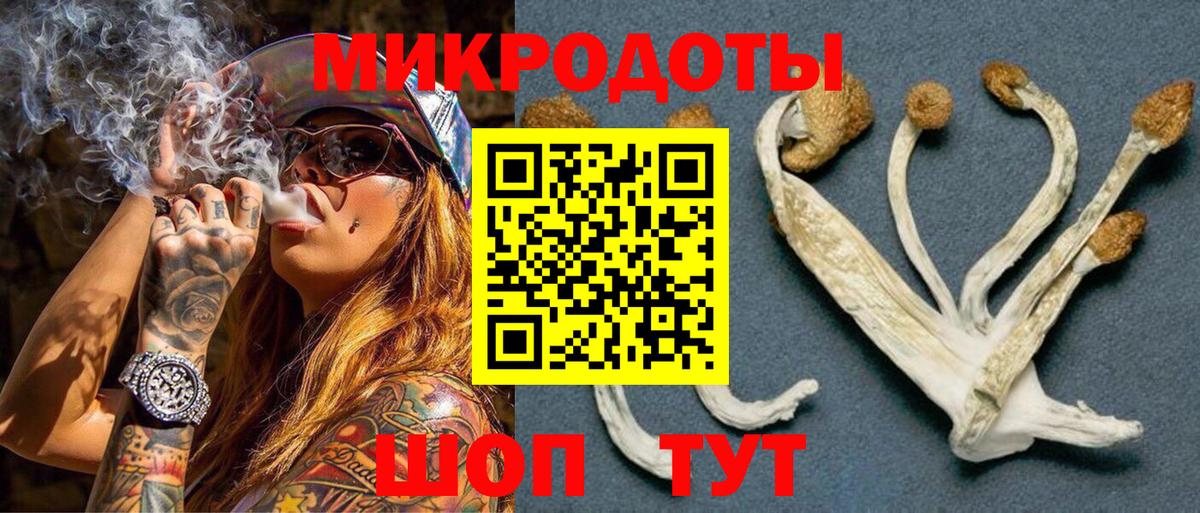 Псилоцибиновые грибы прущие грибы Волжский