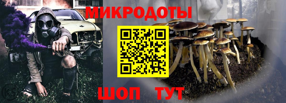 Волжский  цена наркотик  Псилоцибиновые грибы Psilocybe  Вход с VPN  Псилоцибиновые грибы MAGIC MUSHROOMS 